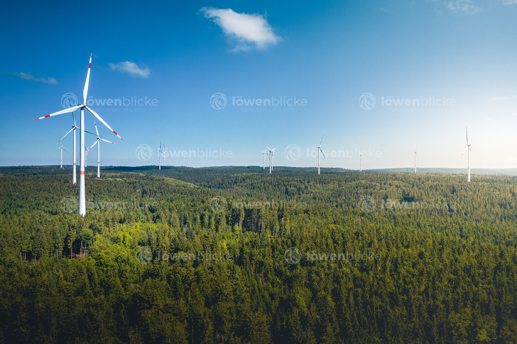 DANIEL-GIMMER-PHOTOGRAPHY_LOEWENBLICKE_0078 | löwenblicke | shop