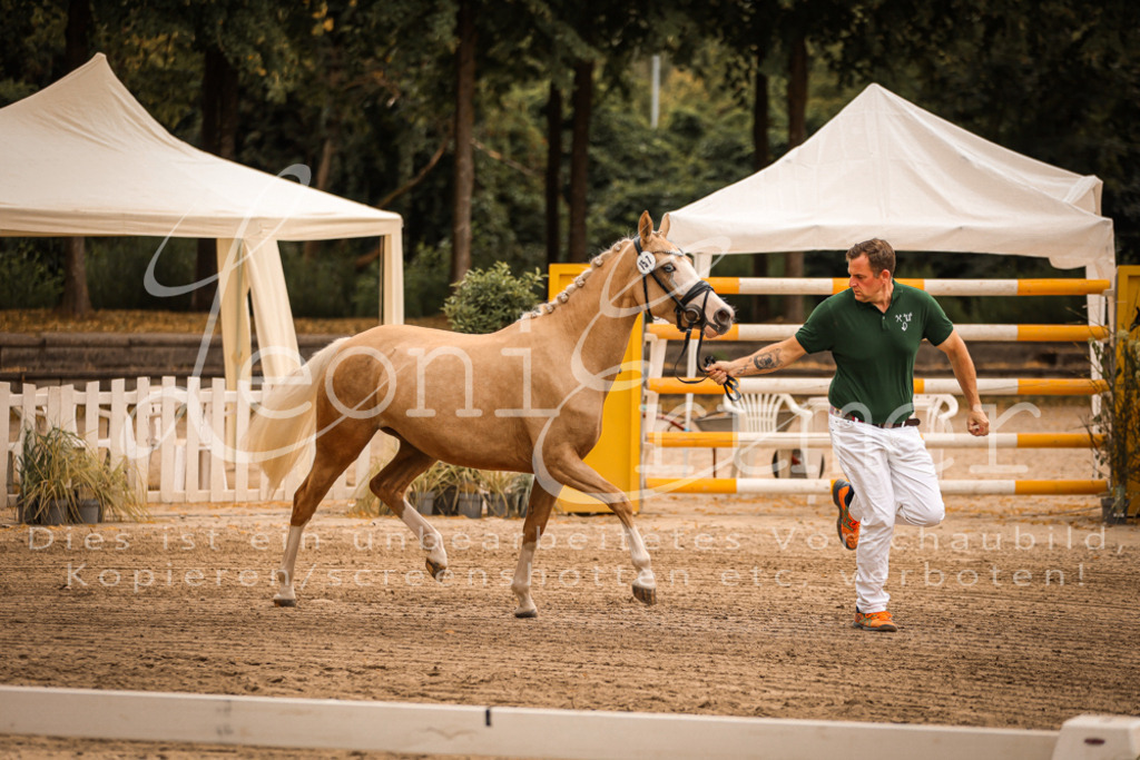 10.So00010 | Leoni Ertmer Photography - Realisiert mit Pictrs.com