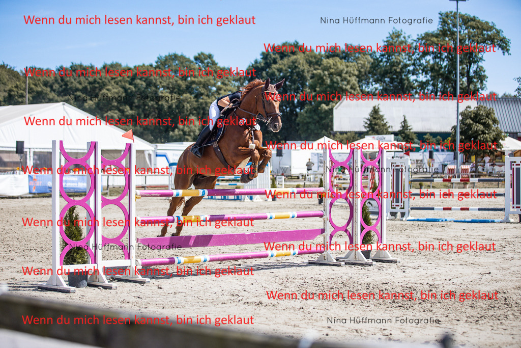 BK1A6507 | Turnierbilder Turnierfotos Nina Hüffmann Turnierfotografie Pferdefotografie Tierzeichnung Haustierzeichnung Pferdezeichnung Hundezeichnung Videograf  - Realisiert mit Pictrs.com