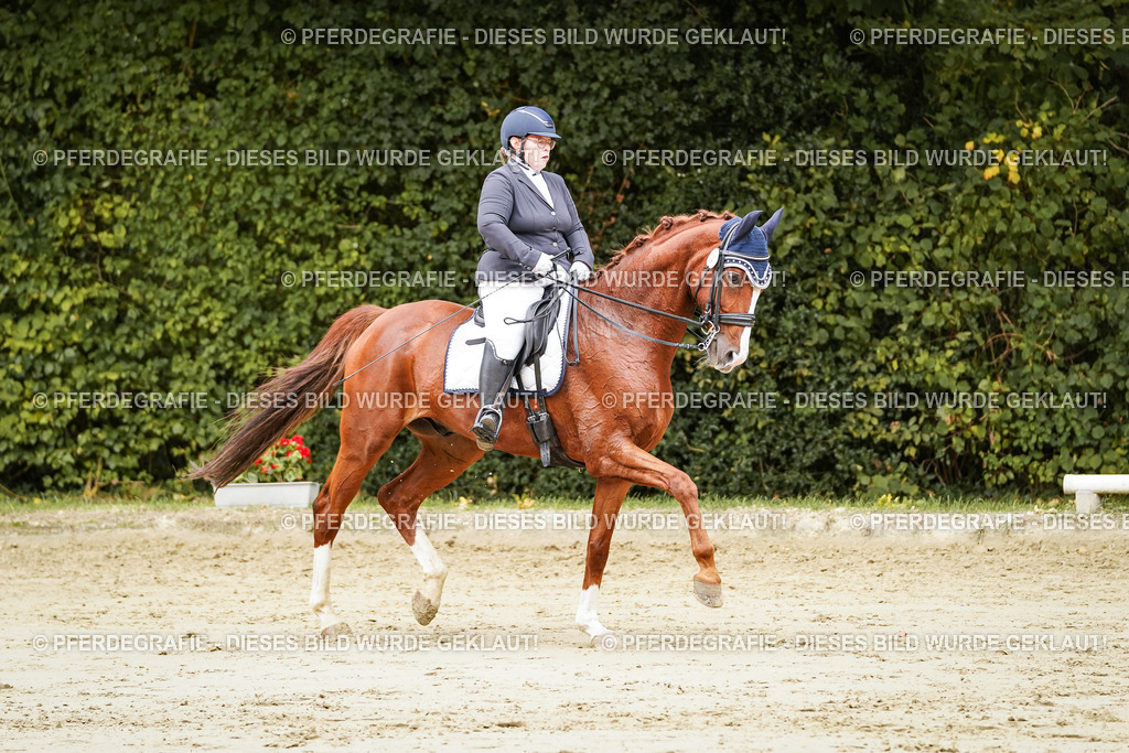 DSC03129 | Pferdegrafie