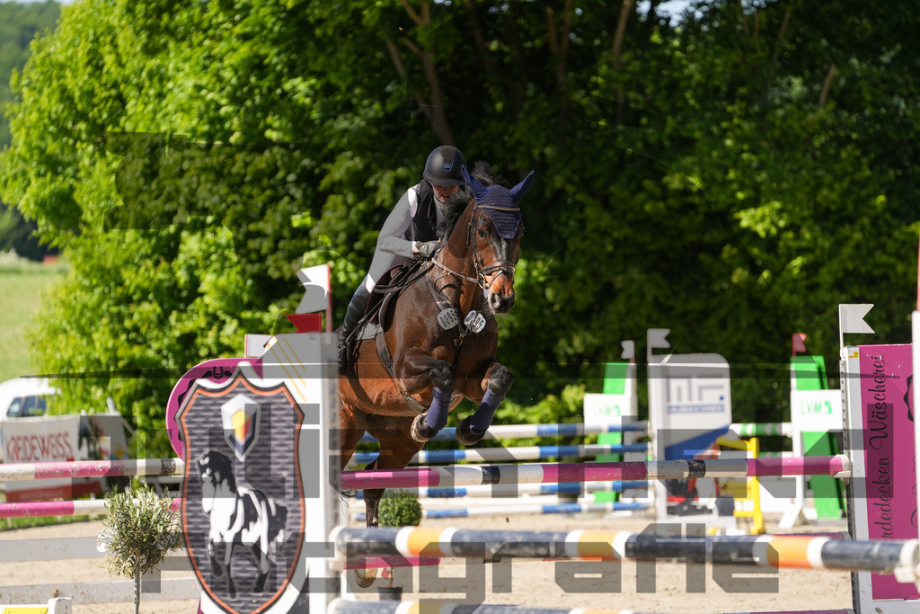 DSC02393 | Julian Held Fotografie - Realisiert mit Pictrs.com