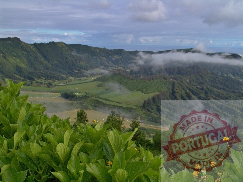 Azores island valley with green fields and clouds | Green hills and a valley with mist and clouds over the Atlantic Ocean - Realized with Pictrs.com