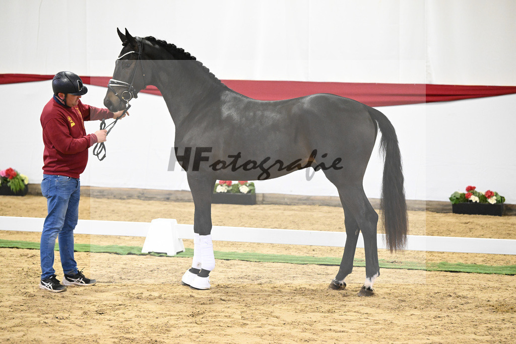 Kat-Nr. 49 v. Escamillo_Bschorer_63220451 | hf-fotografie - Realizzato con Pictrs.com