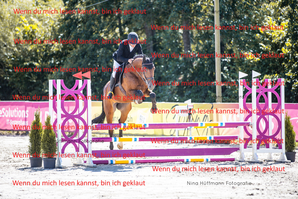 BK1A5248 | Turnierbilder Turnierfotos Nina Hüffmann Turnierfotografie Pferdefotografie Tierzeichnung Haustierzeichnung Pferdezeichnung Hundezeichnung Videograf  - Realisiert mit Pictrs.com