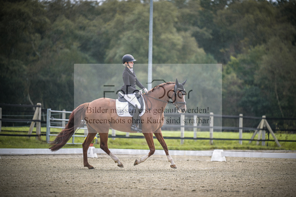 DOS_B371 | Entdecke hochwertige Reitturnierfotos von Foto Oger. Professionell, emotional und authentisch – jetzt Lieblingsmomente im Shop bestellen.Deutschlandweite Turnierfotografie. - Realisiert mit Pictrs.com