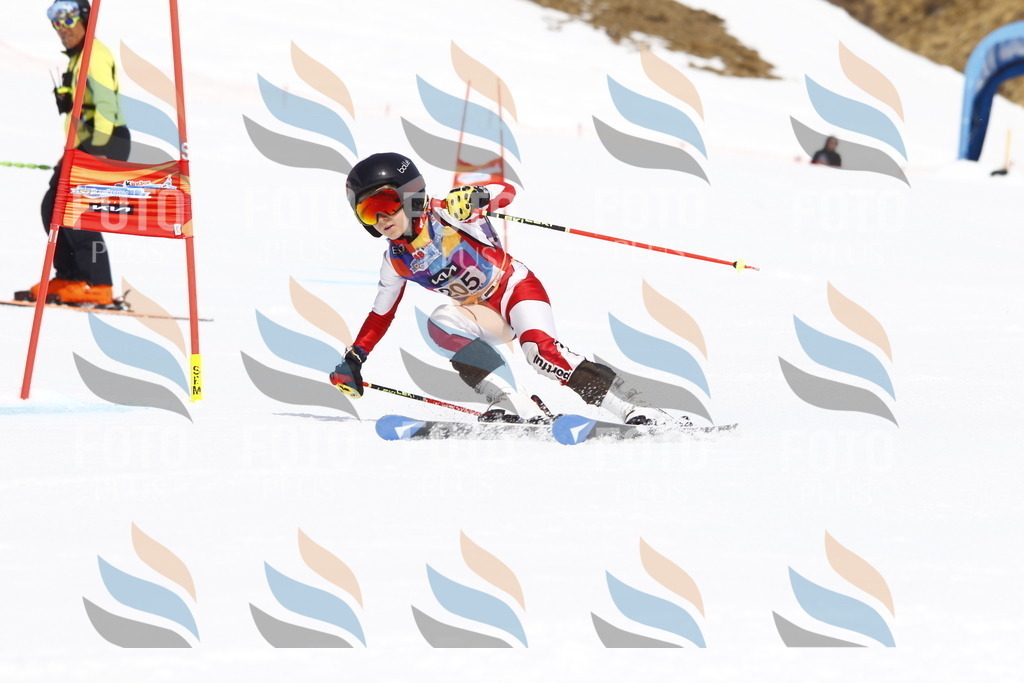 _U3G5323 | holidayphoto