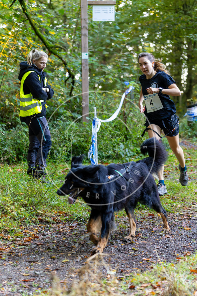 Pfotenfotografie_DV3A6215 | Hundefotografie, Tierfotograf, Pfotenfotografie, Fotoshooting Hund, Hunde Portrait, Hundesport, Hundeportraits, Heideshooting, Hunde, Sportfotograf, Hundefotograf, Turnierhundsport, THS,  - Realisiert mit Pictrs.com