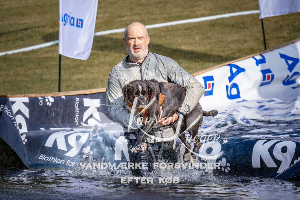 _ZZ950620723 | kk-dogfotos