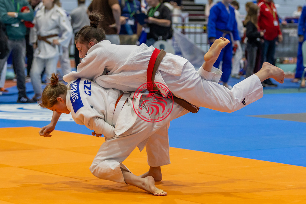Internationaler Adler Cup 2024 | Foto vom Internationalen Adler Cup Judo Turnier im Sport- und Freizeitzentrum Kalbach im Oktober 2024 - Realisiert mit Pictrs.com