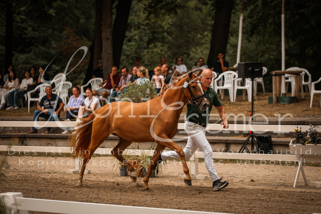 10.-12.Elite00013 | Leoni Ertmer Photography - Realisiert mit Pictrs.com