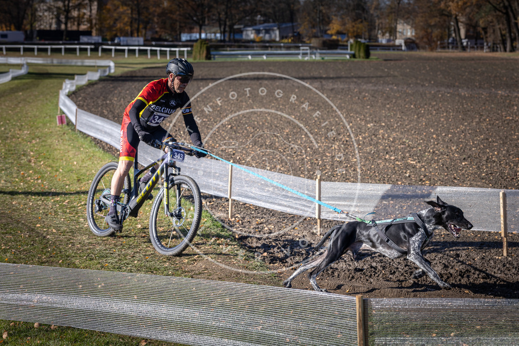 CaniXpix_DV3A7012 | Hundefotografie, Tierfotograf, Pfotenfotografie, Fotoshooting Hund, Hunde Portrait, Hundesport, Hundeportraits, Heideshooting, Hunde, Sportfotograf, Hundefotograf, Turnierhundsport, THS,  - Realisiert mit Pictrs.com