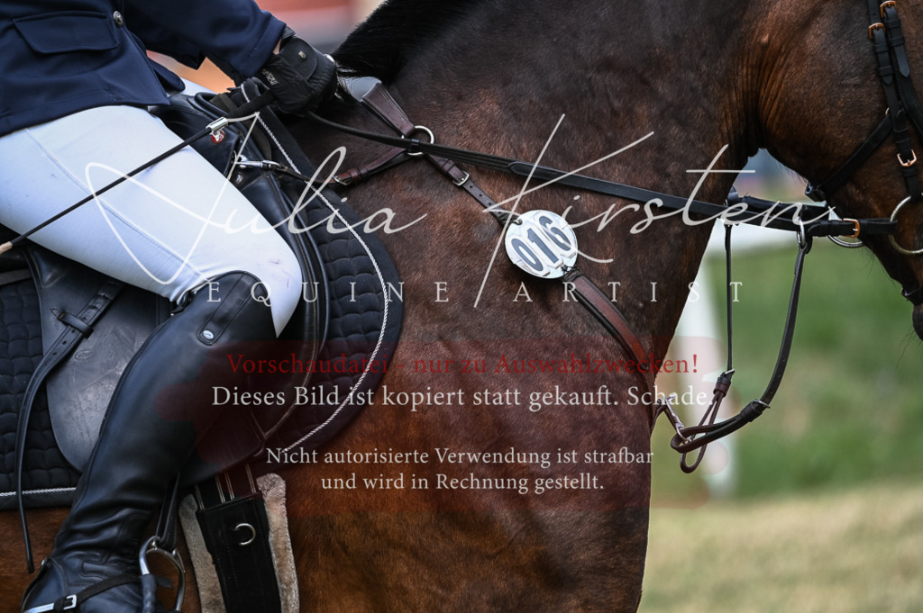 DSC_8244 | Pferde- und Turnierfotografie in Westsachsen. Pferdeportraits, Auftragszeichnungen und intuitive Kunst.