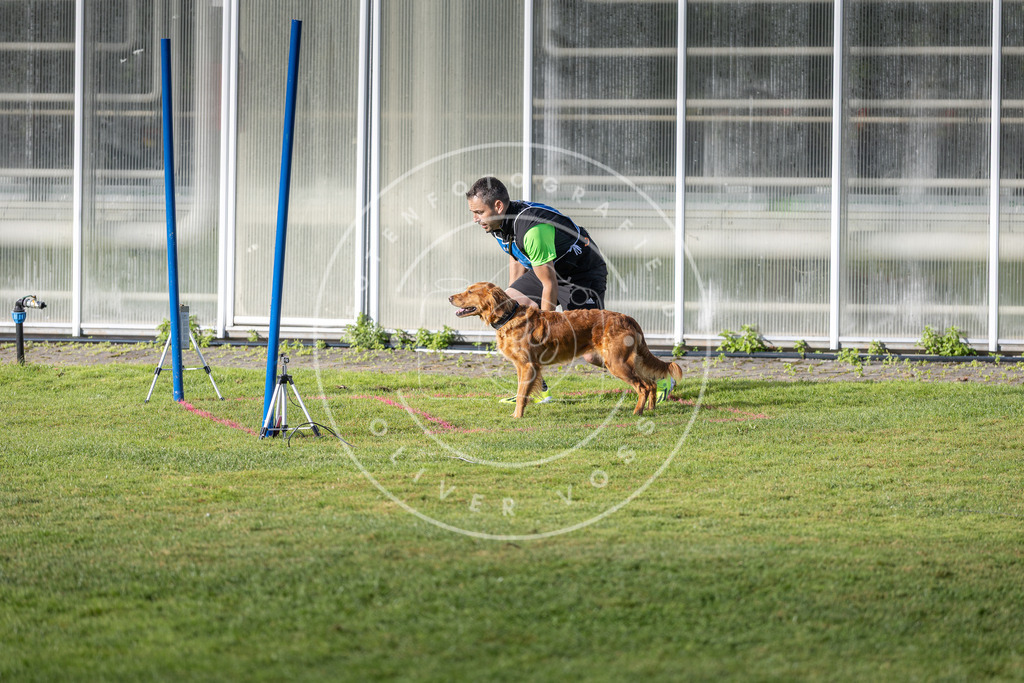 Pfotenfotografie.de_DV3A3408 | Hundefotografie, Tierfotograf, Pfotenfotografie, Fotoshooting Hund, Hunde Portrait, Hundesport, Hundeportraits, Heideshooting, Hunde, Sportfotograf, Hundefotograf, Turnierhundsport, THS, canicross - Realisiert mit Pictrs.com