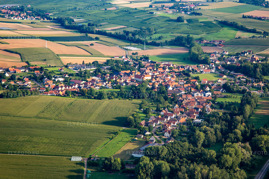Vue aérienne: Vue de la ville depuis le sud à Riedseltz dans le département Bas Rhin, France. Photo: IMG_138104.jpg prise le 19/08/2023 par Werner Riehm/FLY-FOTO.eu – Résolution de l'original: 5302 x 3534 px