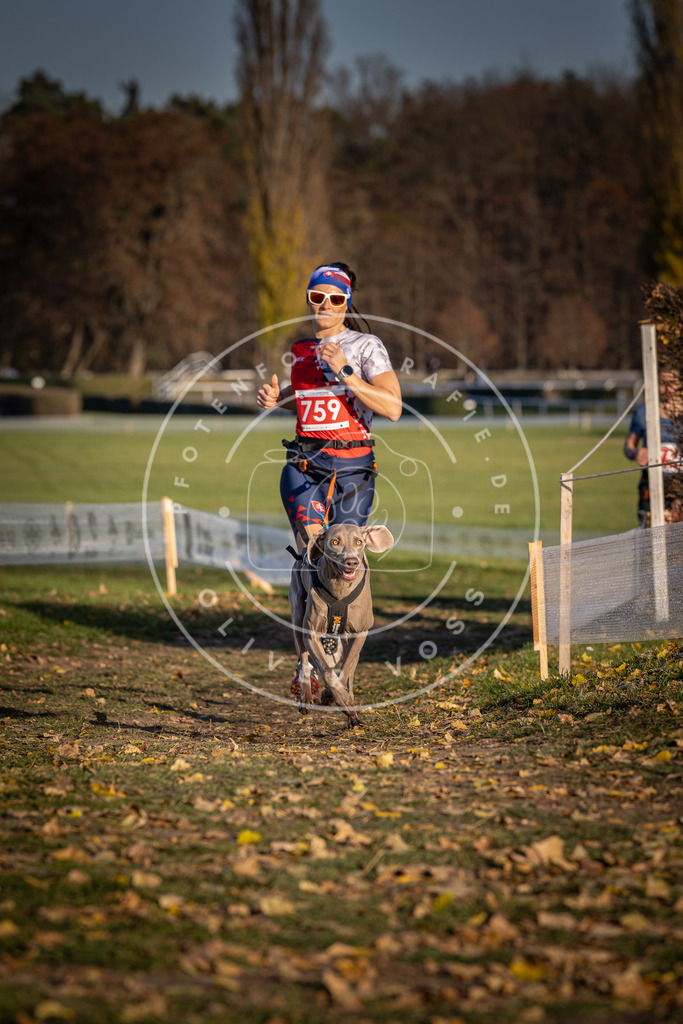 CaniXpix_DV3A2605 | Hundefotografie, Tierfotograf, Pfotenfotografie, Fotoshooting Hund, Hunde Portrait, Hundesport, Hundeportraits, Heideshooting, Hunde, Sportfotograf, Hundefotograf, Turnierhundsport, THS,  - Realisiert mit Pictrs.com