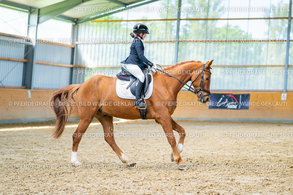 DSC08386 | Pferdegrafie