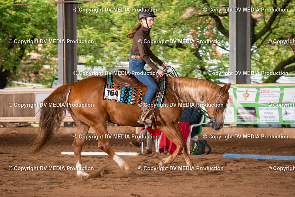 Erbach Tag 2-315 | dv-media-shop - Realisiert mit Pictrs.com