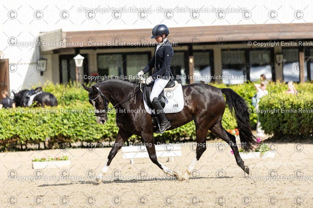 CL5A6012-2 | Emilia Reinking Fotografie - Realisiert mit Pictrs.com