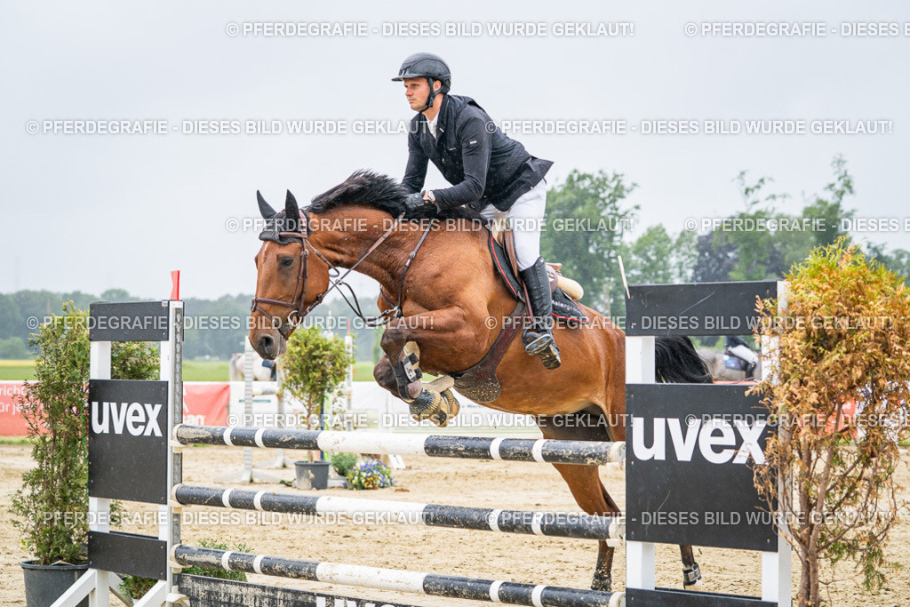 DSC02900 | Pferdegrafie