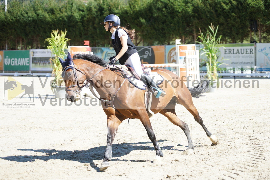 DSC02542 | equestrian-live-com