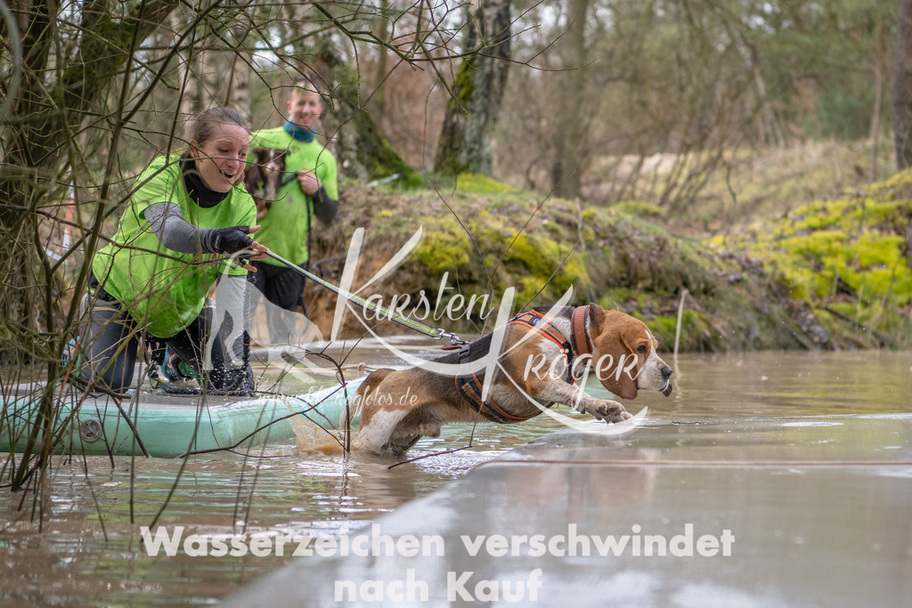 0954_ZZ91648-Bearbeitet | kk-dogfotos