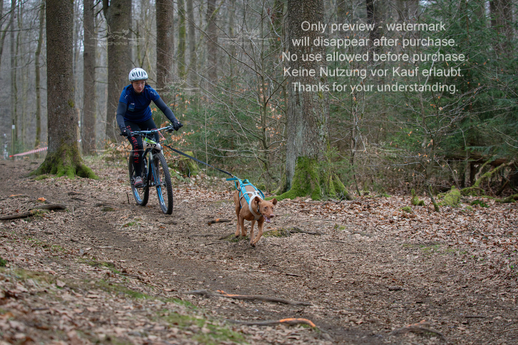 Bike_So-184 | stephaniefillaphotographie - Realisiert mit Pictrs.com