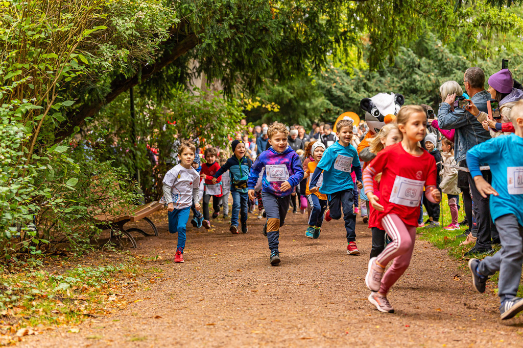 Wartburglauf 20251Y8A4875 | OCR Bilder Fotograf Eisenach Michael Schröder