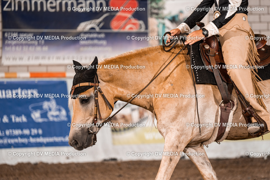 ZH100177 | dv-media-shop - Realisiert mit Pictrs.com