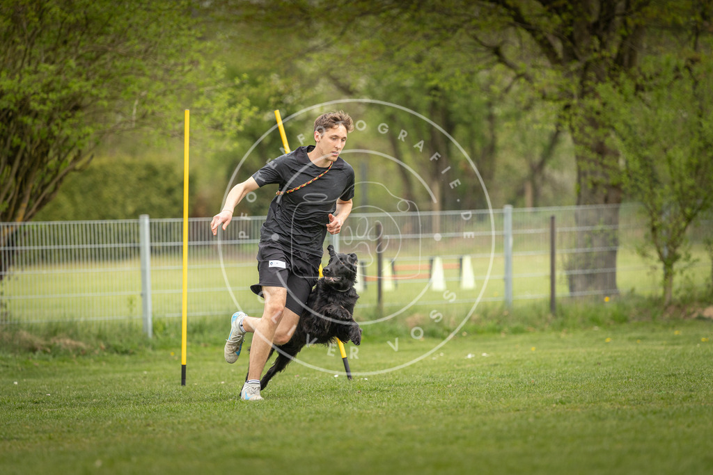 Pfotenfotografie_DV3A9742 | Hundefotografie, Tierfotograf, Pfotenfotografie, Fotoshooting Hund, Hunde Portrait, Hundesport, Hundeportraits, Heideshooting, Hunde, Sportfotograf, Hundefotograf, Turnierhundsport, THS,  - Realisiert mit Pictrs.com