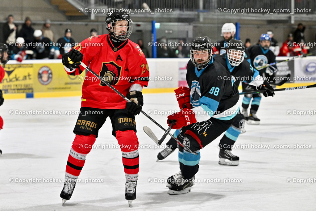Lendhafen Seelöwen vs. Spartans Althofen | #20 Ban Christian Spartans Althofen, #88 Katnik Sebastian Lendhafen Seelöwen, Lendhafen Seelöwen vs. Spartans Althofen, Lendhafen Seelöwen vs. Spartans Althofen am 14.02.2025 in Ferlach (HTC Eishalle Ferlach), Austria, (Photo by Bernd Stefan)