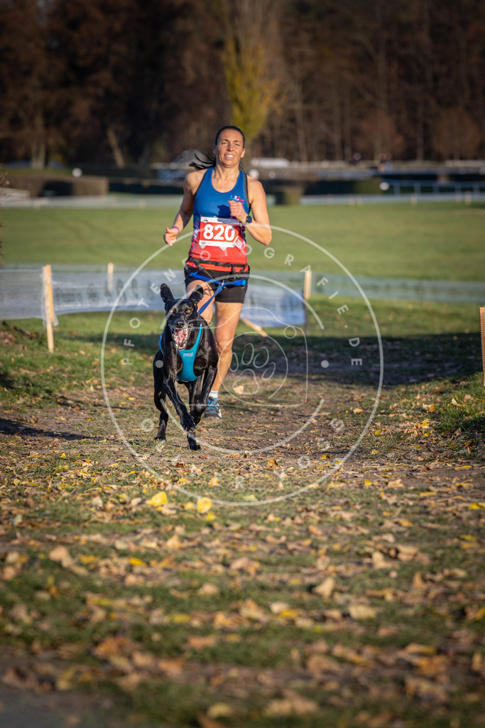 CaniXpix_DV3A3241 | Hundefotografie, Tierfotograf, Pfotenfotografie, Fotoshooting Hund, Hunde Portrait, Hundesport, Hundeportraits, Heideshooting, Hunde, Sportfotograf, Hundefotograf, Turnierhundsport, THS,  - Realisiert mit Pictrs.com
