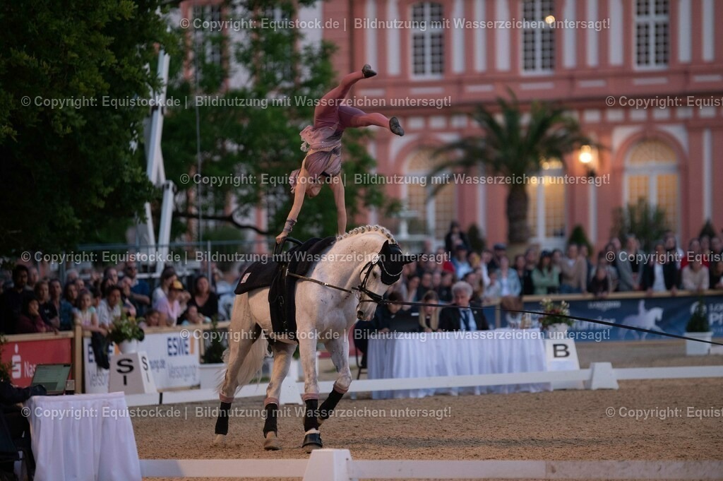 20230527_Voltigieren_NASPA_Flutlicht_0358 | equistock