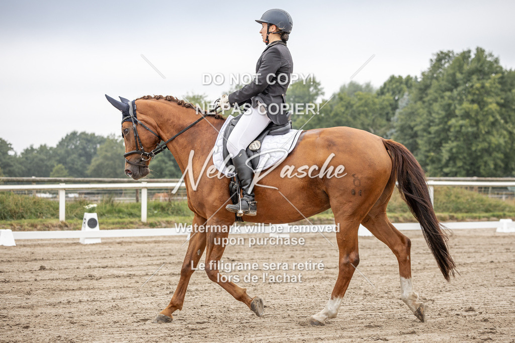 nelerasche_DrL_Ede_70 | nelerasche