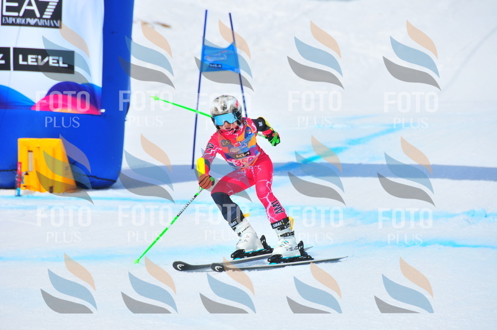 DSC_7001 | holidayphoto