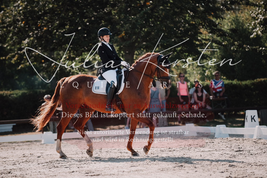 DSC_0430 | Pferde- und Turnierfotografie in Westsachsen. Pferdeportraits, Auftragszeichnungen und intuitive Kunst.
