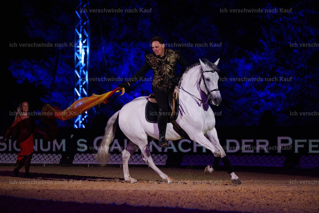 FHClassics-166 | working equitationturnier fotograf videograf stoibphotography marixx film working equitation deutschland reitsport turnierfotografie eventfotografie equestrian events