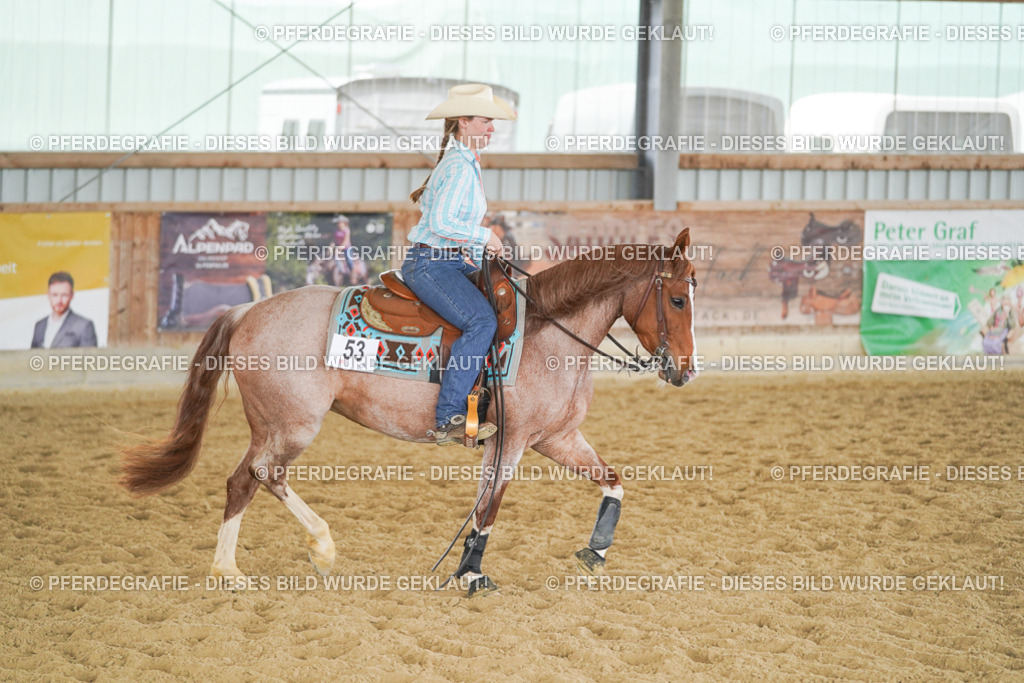 DSC05706 | Pferdegrafie