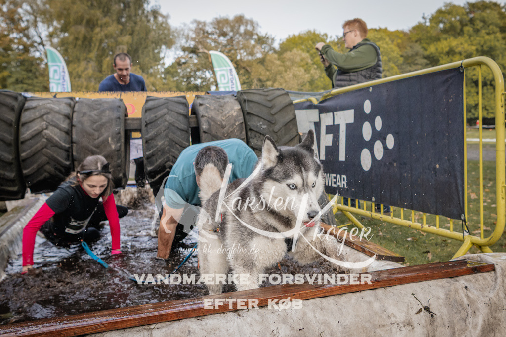 1455_ZZ90690 | kk-dogfotos