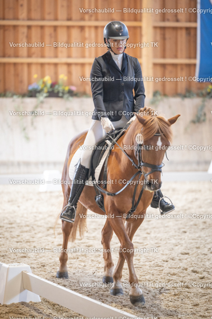 _D5A5506 | Emotionale Pferde- & People-Fotografie rund um Heidelberg, Leimen & Umgebung. Natürliche Fotos von Pferd, Mensch & Familie. Jetzt Termin sichern!