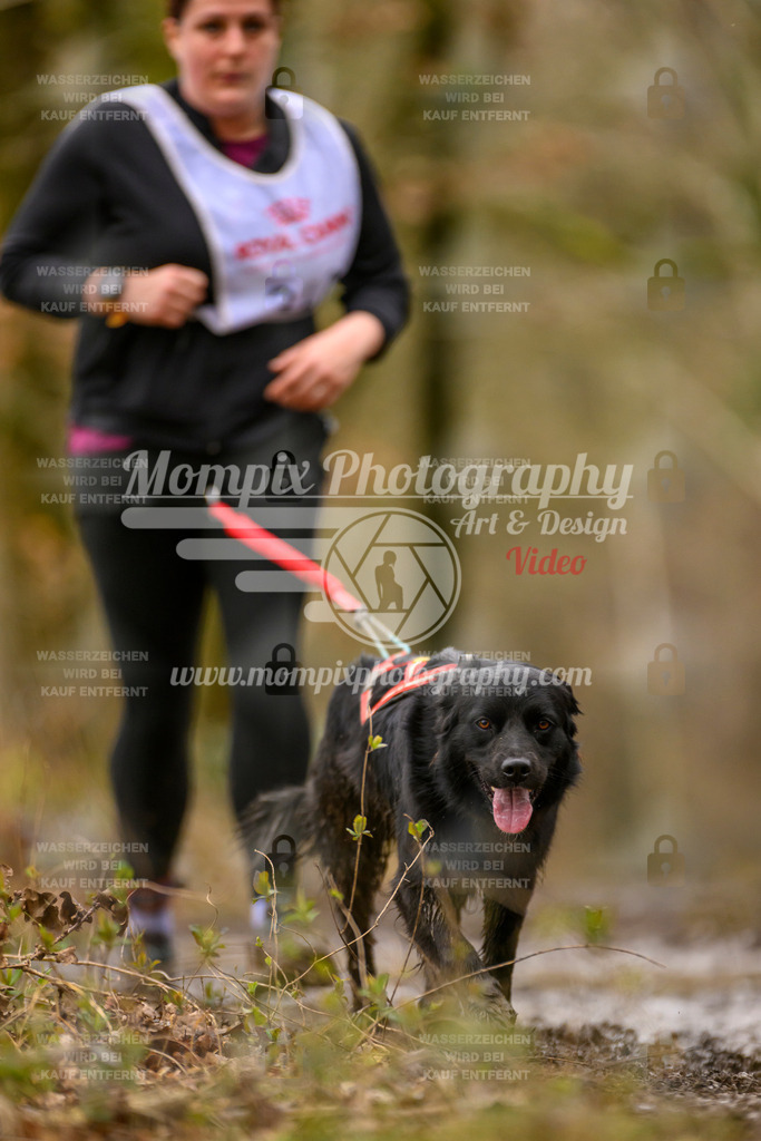 MompixPhotography_CDSM24_SA_CCS-228 | mompixphotography