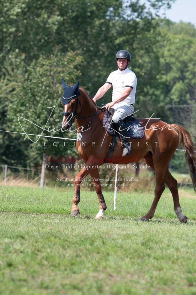 DSC_0625 | Pferde- und Turnierfotografie in Westsachsen. Pferdeportraits, Auftragszeichnungen und intuitive Kunst.