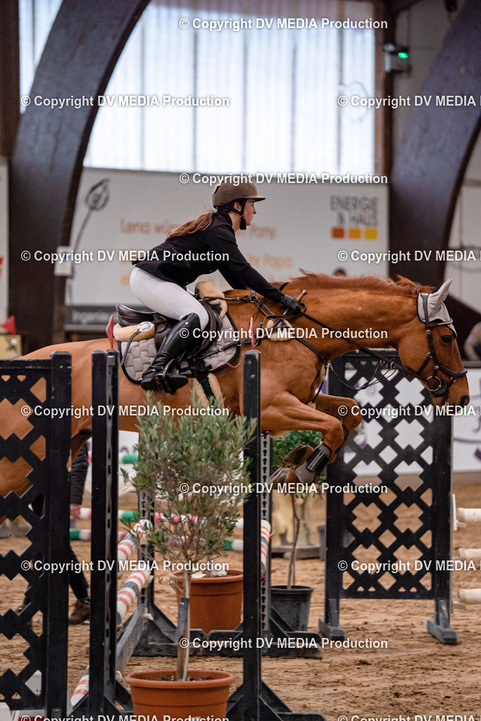 Kranichstein Tag 3-116 | dv-media-shop - Realisiert mit Pictrs.com