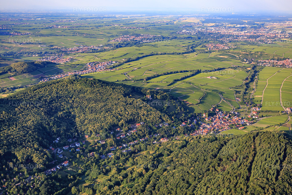Luftbild: Dorfübersicht am Haardtrand aus Südwesten in Leinsweiler im Bundesland Rheinland-Pfalz in Deutschland. Foto: IMG_082652.jpg vom 25.06.2015 durch Werner Riehm/FLY-FOTO.de