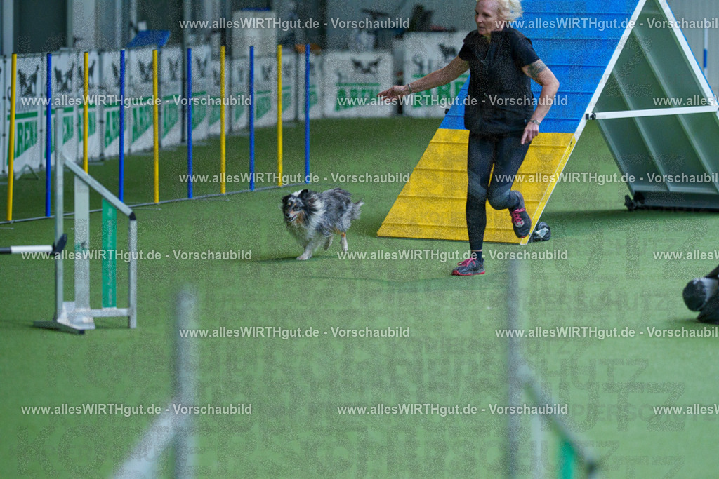 @allesWIRTHgut_Tierfotografie - www.allesWIRTHgut.de - 2604261458-7R504181 | Professionelle Tierfotografie in Mönchengladbach von Daniel Wirth (allesWIRTHgut). Liebevolle & natürliche Bilder von Hunden & Katzen für unvergessliche Erinnerungen.