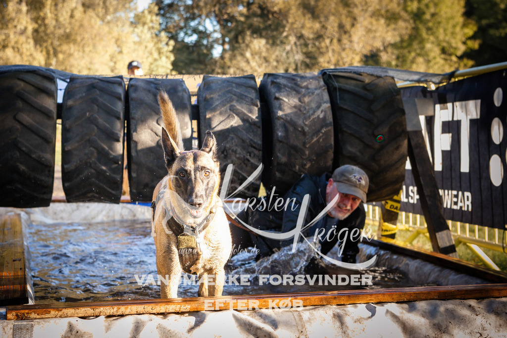 0921_ZZ90654 | kk-dogfotos