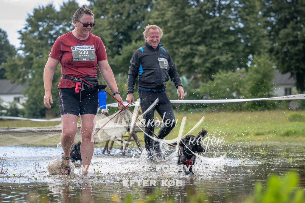 1309_ZZ90528 | kk-dogfotos