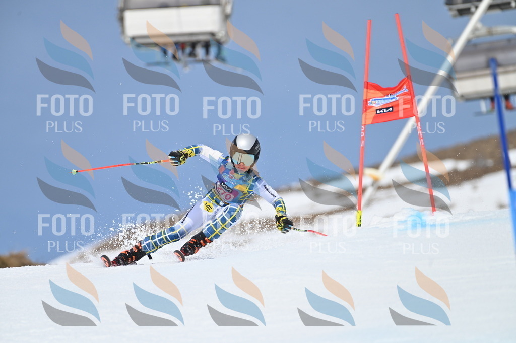 BGV_2244 | holidayphoto