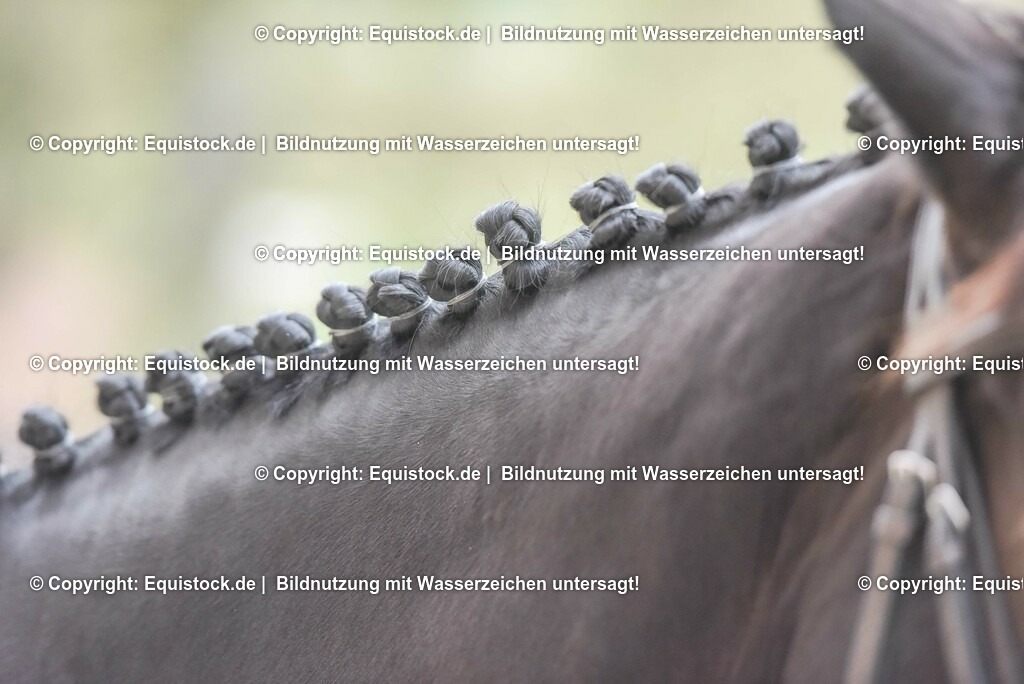 20230514_Impressionen_0095 | equistock