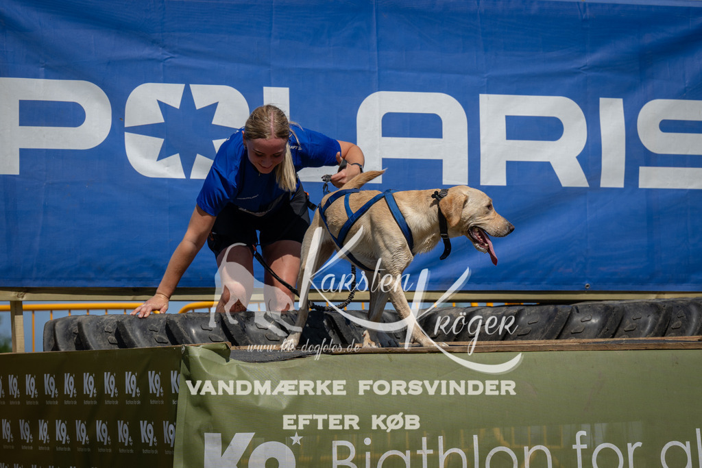 1349_ZZ99427 | kk-dogfotos