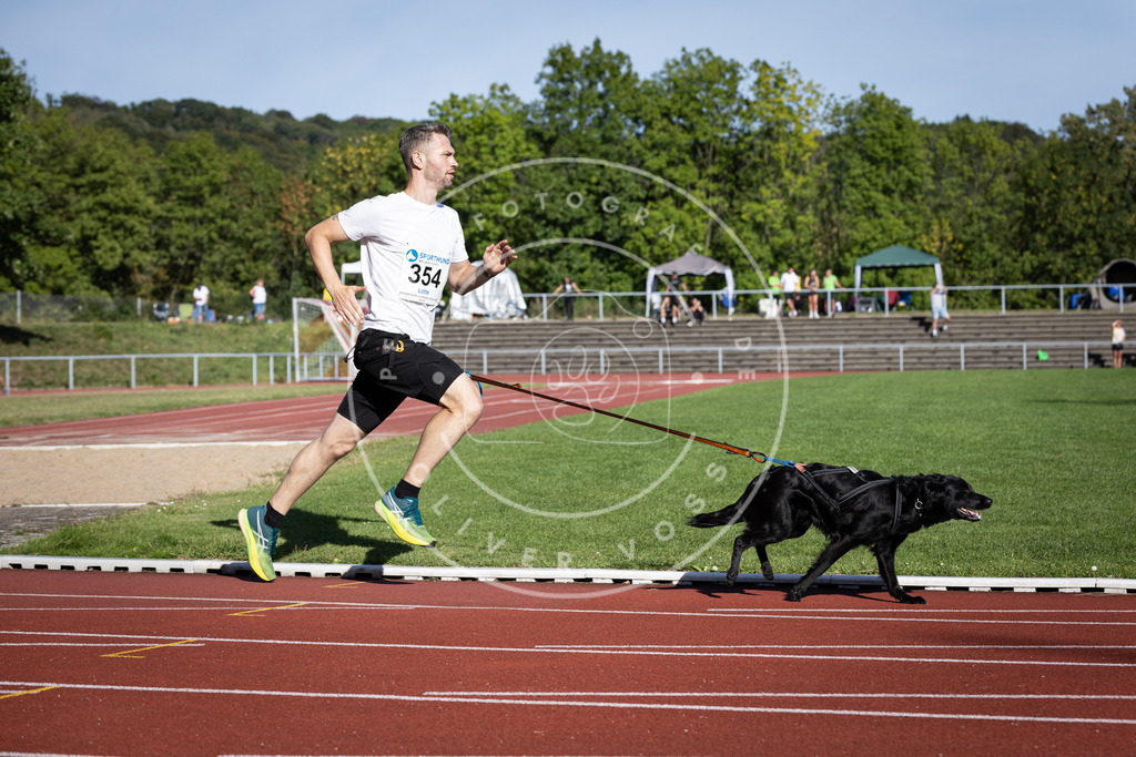 Pfotenfotografie_DV3A9732 | Hundefotografie, Tierfotograf, Pfotenfotografie, Fotoshooting Hund, Hunde Portrait, Hundesport, Hundeportraits, Heideshooting, Hunde, Sportfotograf, Hundefotograf, Turnierhundsport, THS,  - Realisiert mit Pictrs.com